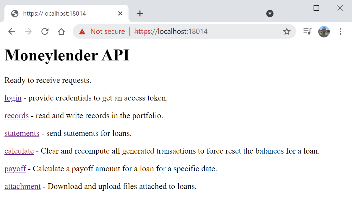 The API's internal homepage.