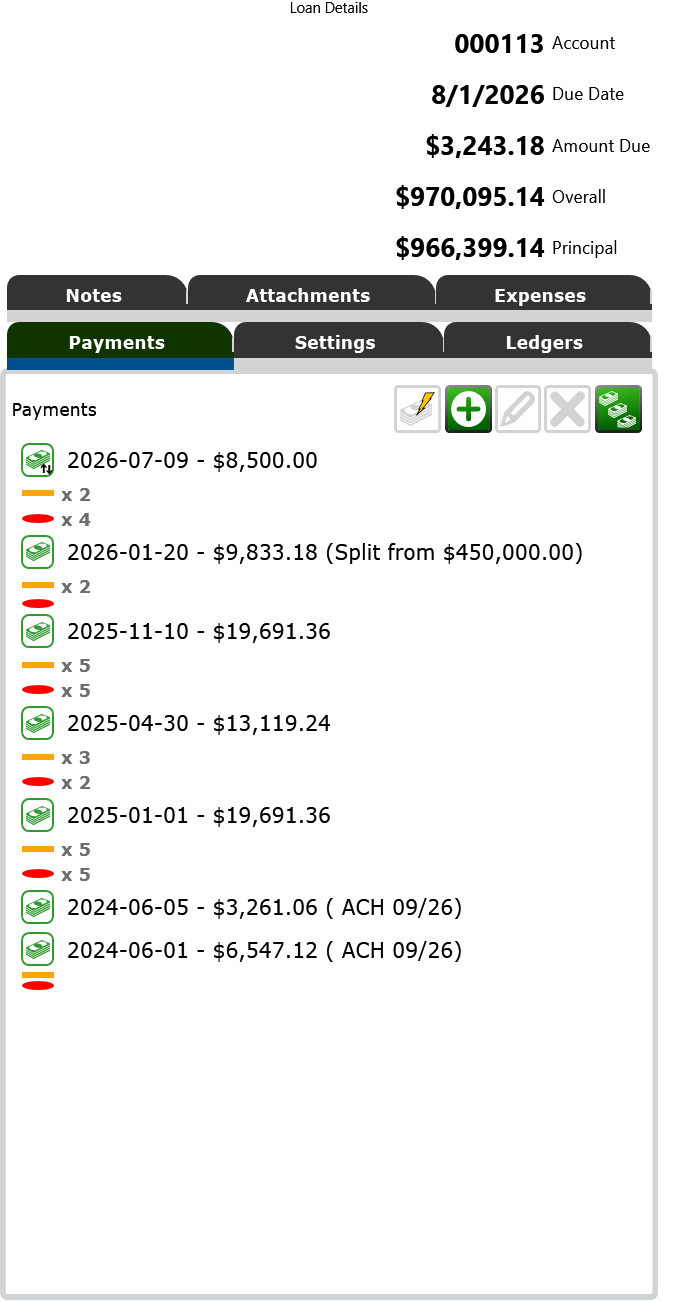Screenshot of the Payments tab of the Loan Details panel.